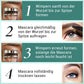 🔥2026 Heißer Verkauf🔥✨Ultimatives Mascara-Set für Verlängerung und Schwung