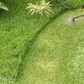 👨‍🌾Ersatzkopf für Fadentrimmer